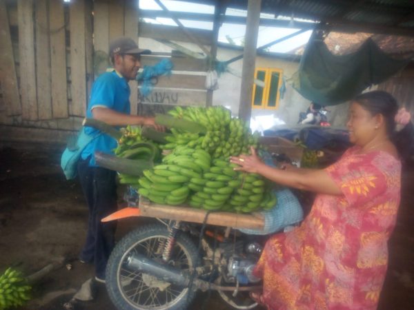 Pisang Penghasilan Tanaman Sela Dari Kebun Kopi di Kecamatan Air Hitam