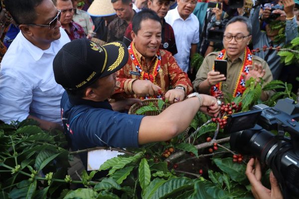 Petik Kopi, Arinal dan Zulkifli Hasan Membuka Festival Kopi Lampung Barat 2019