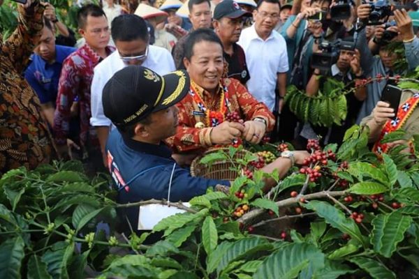 Gubernur Arinal Siapkan Strategi dan Solusi Stabilkan Harga Kopi