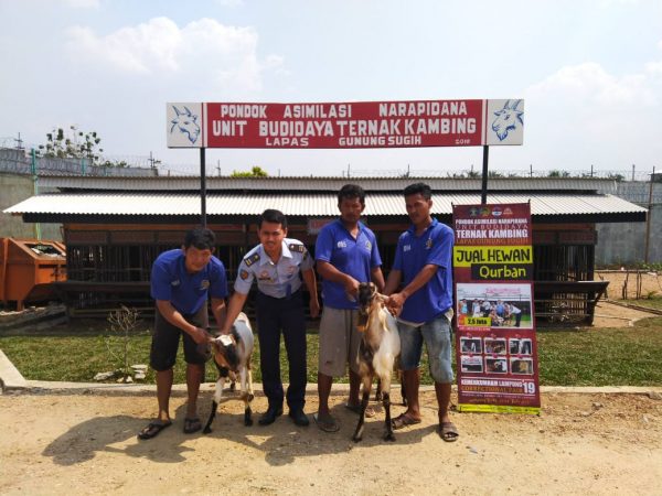 Pondok Asimilasi Narapidana Lapas Gunung Sugih Jual Hewan Qurban