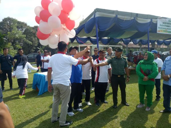 Wakil Bupati HMA Yusuf Siregar Buka Pordes Desa Patumbak I