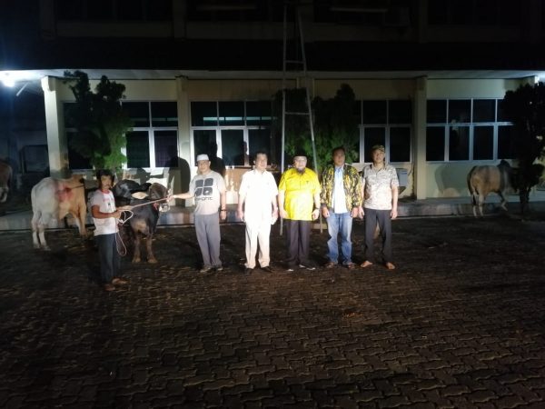 Partai Golkar Lampung Sembelih Qurban 31 Ekor Sapi Dan 61 Ekor Kambing