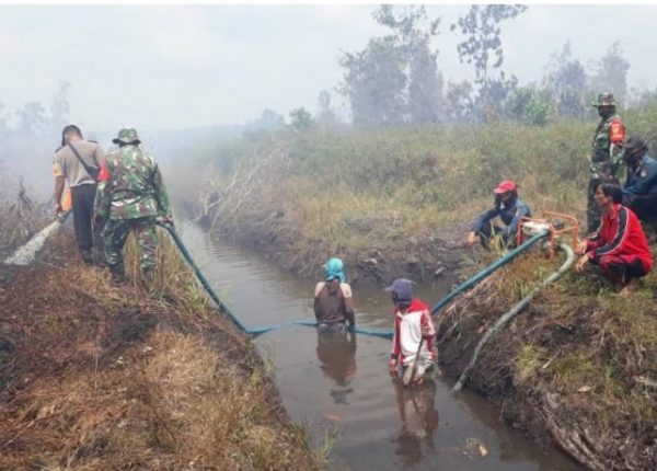 Puluhan Hektar Lahan Kosong di Mesuji Terbakar
