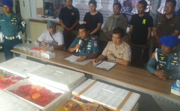 Tim Gabungan TNI-AL OTT Bisnis Bibit Lobter Ilegal Milik Nanang di Bengkunat