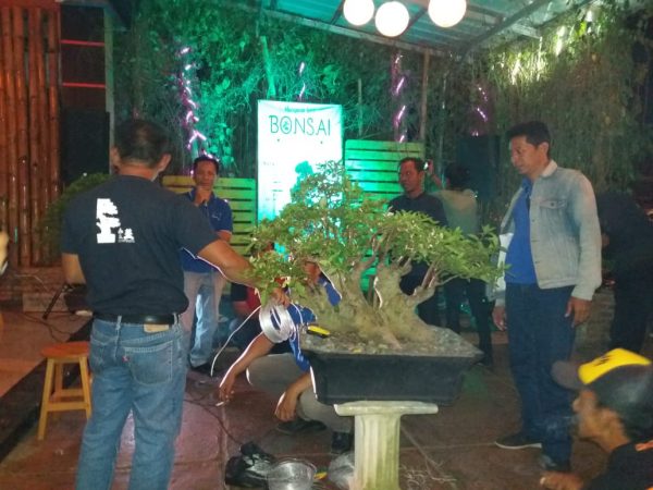 SMSI Lampura Hadiri Gelaran Mengenal Seni Bonsai dan Workshop PPBI Cabang Lampura