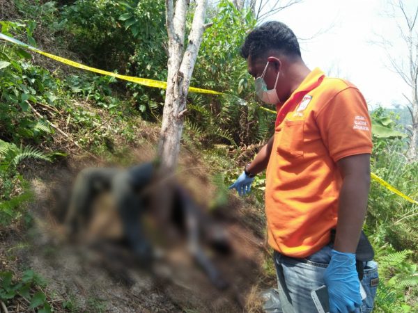 Penjual Obat Keliling Ditemukan Tewas Dikebun di Klumbayan