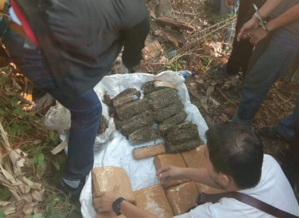 Direktorat Narkoba Polda Banten Gulung Bandar Ganja Wilayah Desa Sukamenak