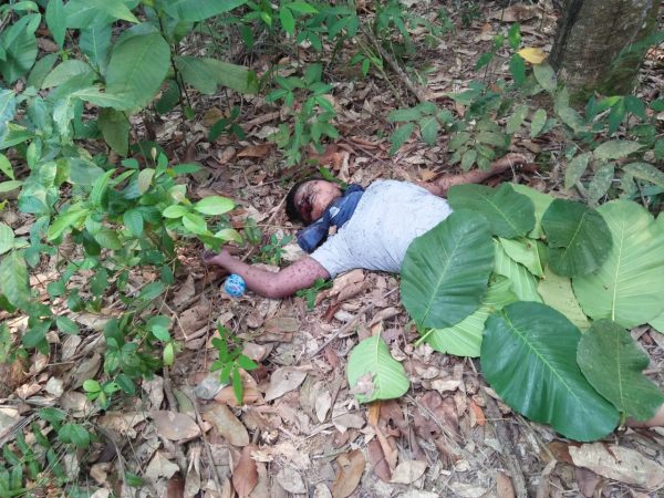 Putri Ditemukan Tewas Setengah Telanjang di Kebun Karet