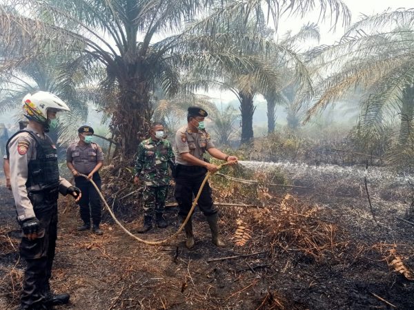 Polisi dan TNI Mesuji Berjibaku Padamkan Api di Lahan Sawit PT
