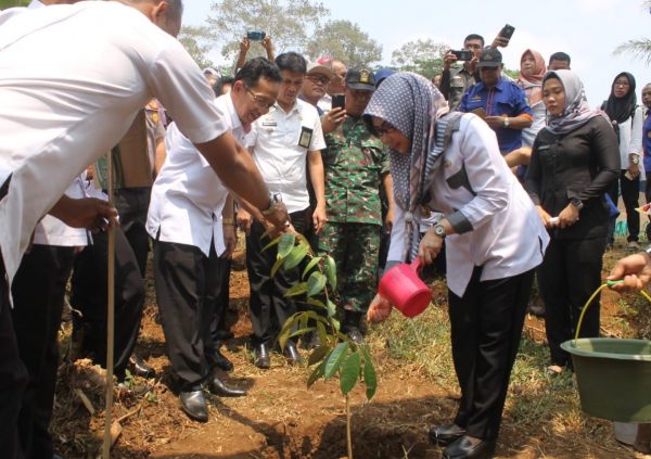 Bupati Tanggamus Hadiri Penanaman Pohon Buah di Kecamatan Pulau Panggung