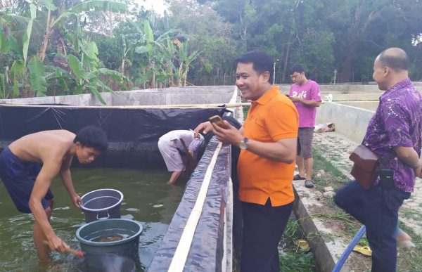 Pijahkan Indukan Nila Nirwana, Dinas Perikanan Lampura Optimalisasi Bibit Ikan Melalui BBI