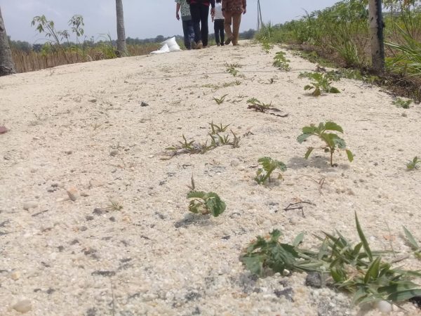 Jalan Lapen Anggaran Dana Desa Rp391,7 Juta Tak Berkualitas, Kepala Kampung Salahkan Kemarau