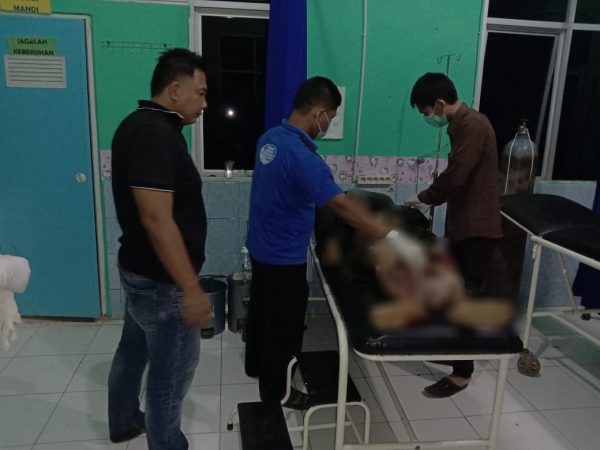 Pemburu Madu di Sarang Lebah, Samsuri Tewas Jatuh dari Pohon 40 Meter di Hutan Kawasan