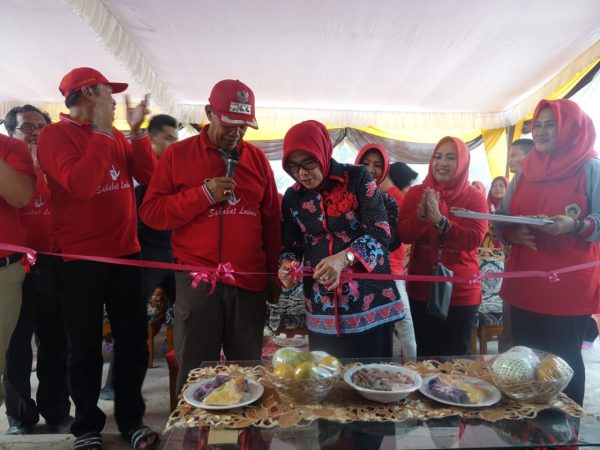 Loekman Senam Gotong Royong Bareng Warga Terusai Nunyai