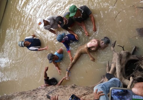 Pembunuh Dua Belantik Sapi di Lampung Tengah Masih Dikejar