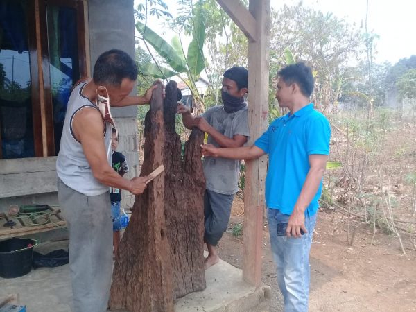 Fosil Kayu, Potensi Industri Kreatif Desa Sawojajar