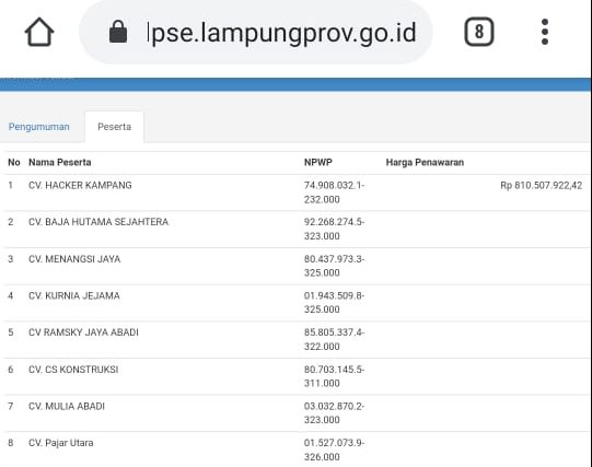 Puluhan Paket Lelang Milik Lampung Selatan di LPSE Lampung Jadi Aneh