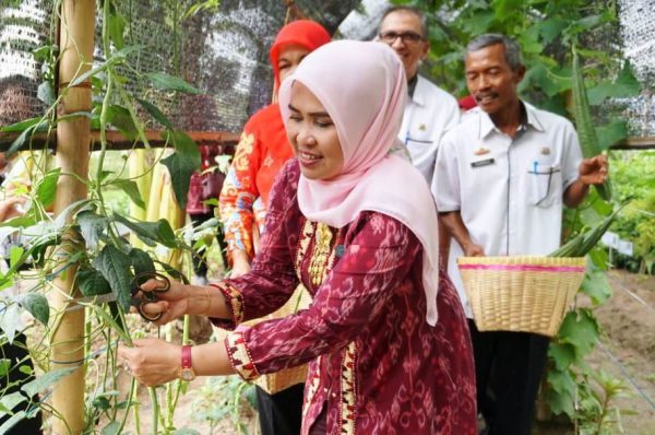 Lomba Kesrak PKK-KKBPK-Kesehatan: Lamsel  Andalkan Desa Taman Agung