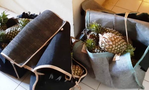 Curi Nanas, Pelarian Kelana Berakhir di Hotel Prodeo Polsek Abung Semuli