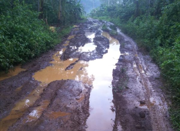Lapor Bu Dwi Handajani, 30 Tahun Jalan KM 3 Pekon Sinar Banten Tak Tersentuh Pemerintah