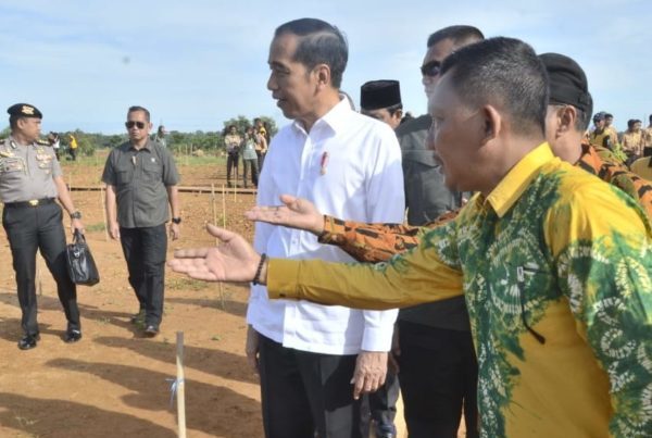 KABAR HPN 2020: Jokowi Tanam Pohon Mersawa, PWI Lampung Tanam Pohon Kemenyan