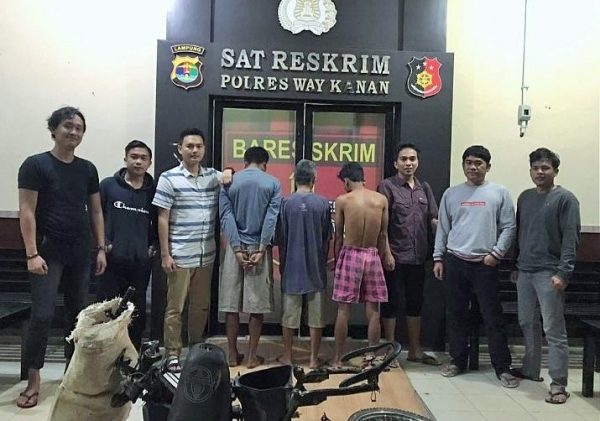 Tiga Maling Motor Dikebun Lalu Dipreteli Ditangkap Polisi