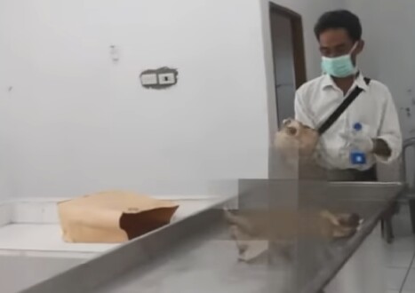 Warga Temukan Tengkorak Wanita Dengan Sejumlah Uang Terikat Rapih