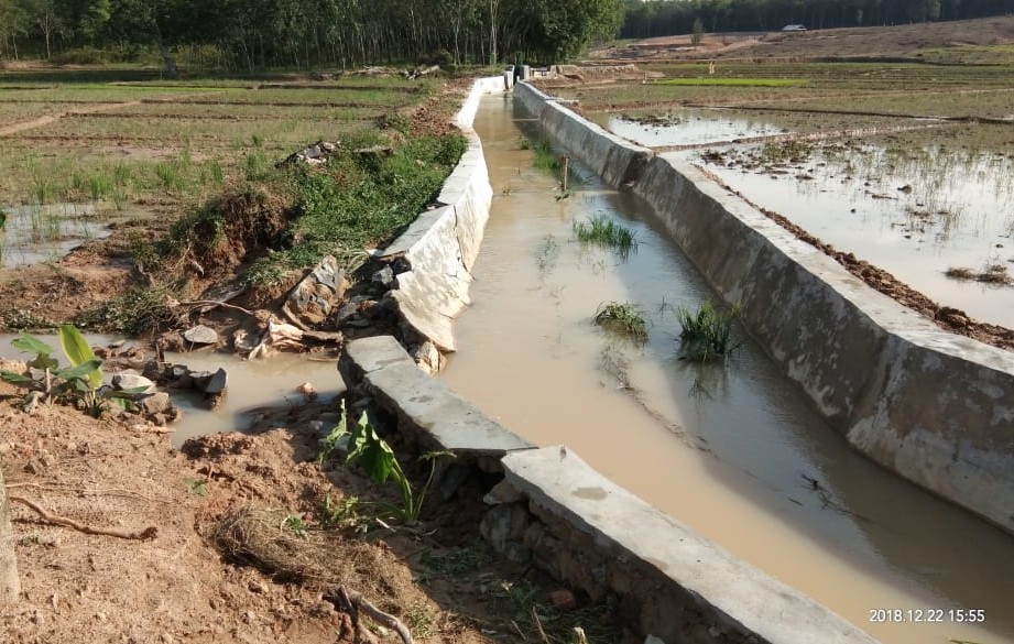 Beres PHO Bangunan JIB Asalan Ambrol dan Merusak Padi, Petani Resah