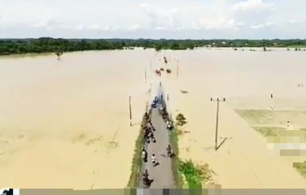 Lampung Kembali Dikepung Banjir, Infrastruktur Banyak Rusak Ratusan Petani Gagal Panen