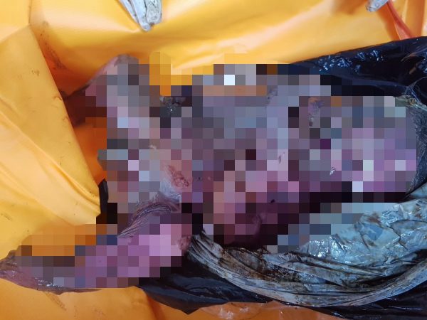 Warga Temukan Mayat Orok Dalam Kardus di Toilet Chandra Deptstore Kota Metro