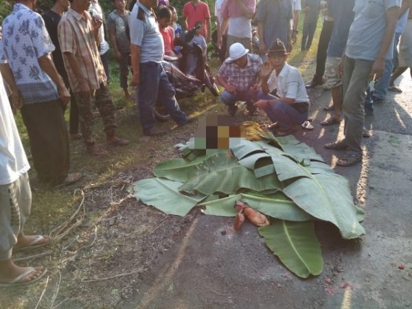 Pulang Kursus Komputer Novi Tewas Ditabrak Bus di Jalinsum Palas