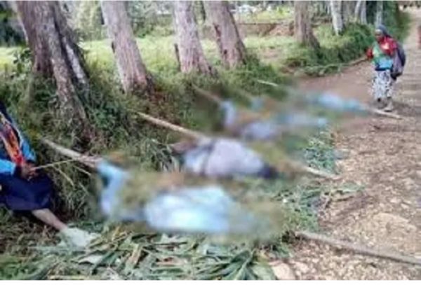 Konflik Antar Suku di Papua Nugini 24 Kotabn Dipotong-potong