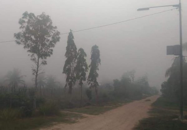 Asap Karhutla Selimuti Mesuji