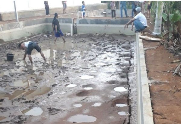 Fenomen Langka di Lampung Barat, Kolam Tiba tiba Kering dan Ikan ikut Ditelan Bumi