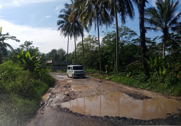 Lapor Pak Gubernur Jalan Provinsi di Kecamatan Limau Rusak Berat