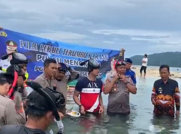 Babang Tampan Ramaikan Penanaman Pohon di Pantai Pulau Mengkudu Bakauheni