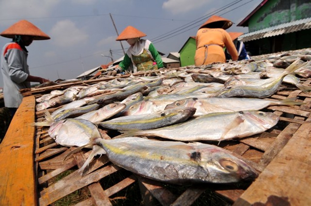 Pengrajin Ikan Asin Pulau Pasaran Turun