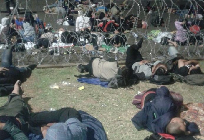 Tak Dijumpai Presiden, Ribuan Honorer K2 Bermalam di Istana