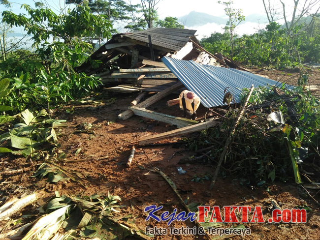 Gajah Liar Rusak 2 Rumah Warga Suoh Lampung Barat