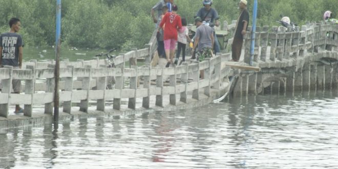 Jalur Penyebrangan Pulau Pasaran Ambrol Warga Gotong Royong Buat Jembatan Darurat