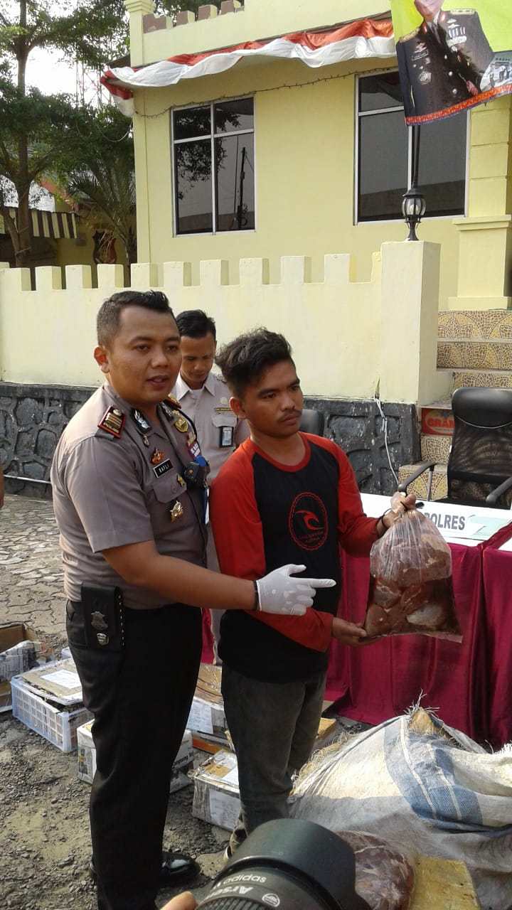 KSKP Bakauheni Amankan 500 Kg Daging Celeng Tanpa Dokumen