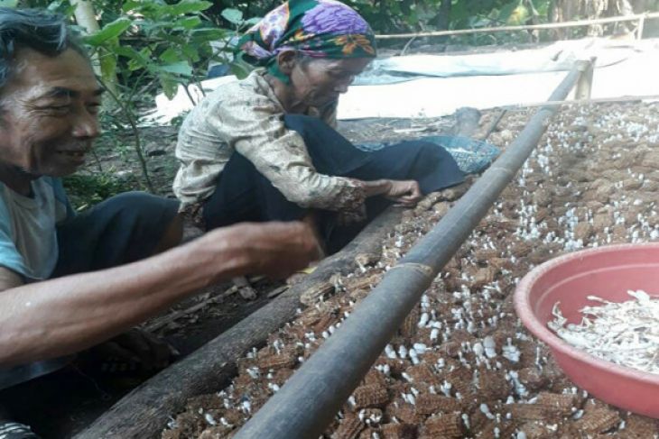 Gerakan “Malu Menganggur” Ciptakan Wiraswasta Baru di Lamtim