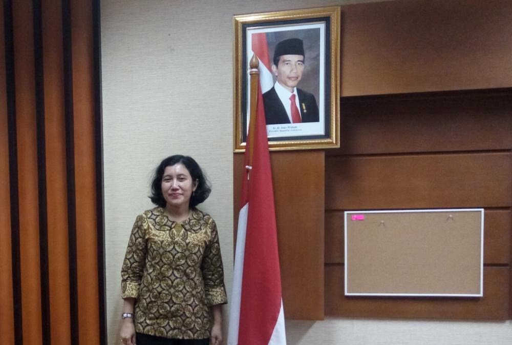 Investasi di Bidang Listrik Berbasis Energi Terbarukan Masih ‘Sepi’