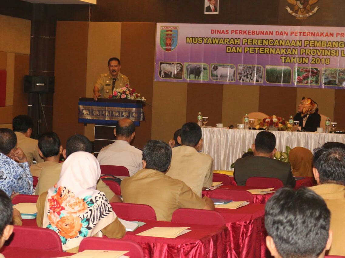 Pemprov Lampung Kembangkan Agrowisata Kopi, Lada dan Kakao