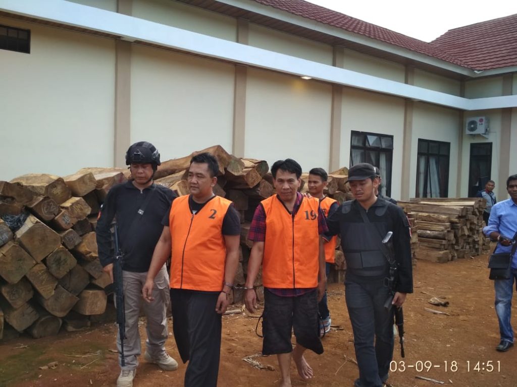 Bacaleg Partai Amanat Nasional Pesawaran Terlibat Ilegal Logging