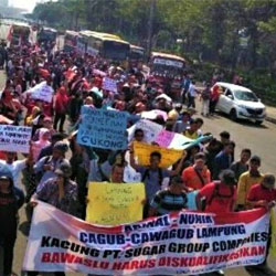 Protes Politik Uang, Koalisi Rakyat Lampung Demo Bawaslu dan KPK