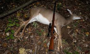 Dua Pelaku Buru Rusa Ilegal di TNWK Ditangkap