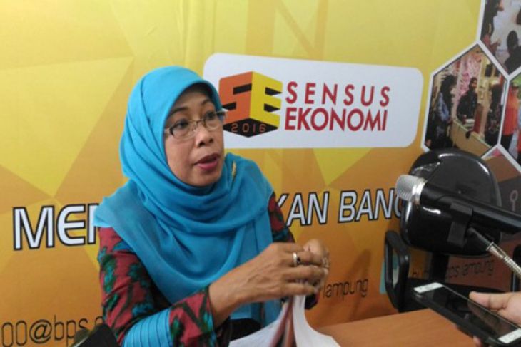 Jumlah Penumpang Kapal Feri-Pesawat Lampung Mei Turun