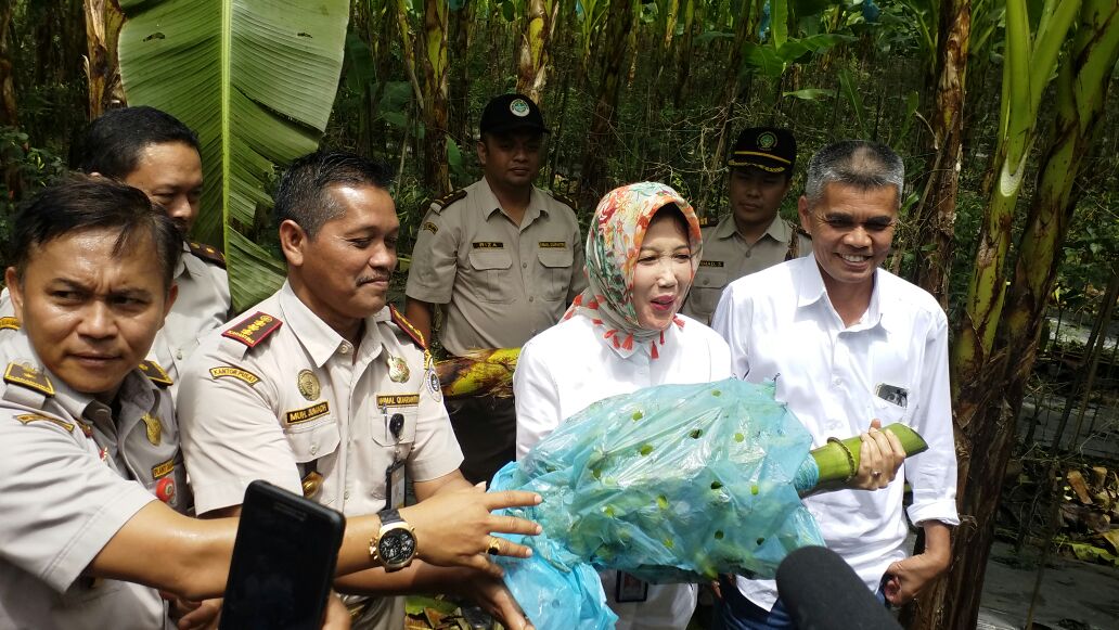 Karantina Pertanian Untuk Menjamin Kualitas Eksport Pertanian