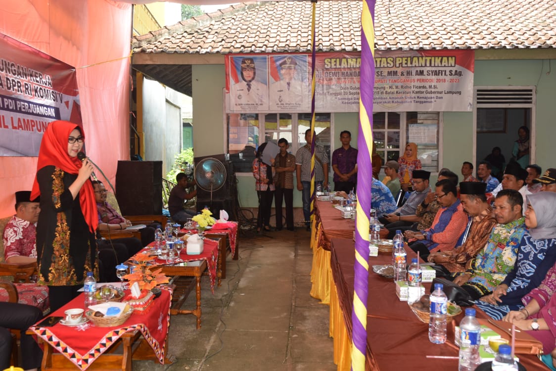 Bupati Tanggamus Hadiri Kegiatan Kerja Anggota DPR RI di Balai Pekon Srikaton